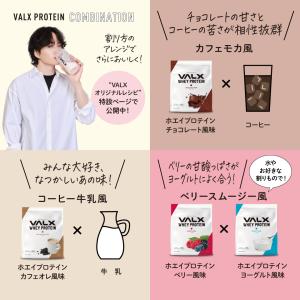 VALX バルクス ホエイプロテイン WPC ...の詳細画像2