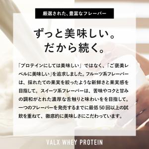 VALX バルクス ホエイプロテイン WPC ...の詳細画像5