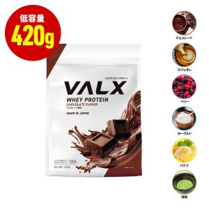 VALX バルクス ホエイプロテイン WPC 低容量 山本義徳 420g 女性 男性｜VALX ONLINE STORE