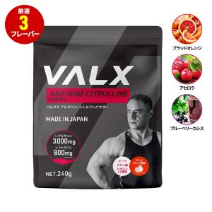 VALX (バルクス) アルギニン・シトルリンパウダー アセロラ風味 山本義徳 240g プレワークアウト