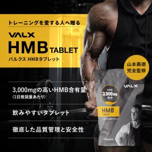 【VALX HMBタブレット】山本義徳 HMB...の詳細画像3