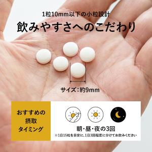 【VALX HMBタブレット】山本義徳 HMB...の詳細画像5