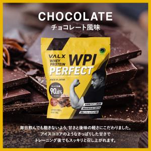 VALX (バルクス) ホエイプロテイン WP...の詳細画像4