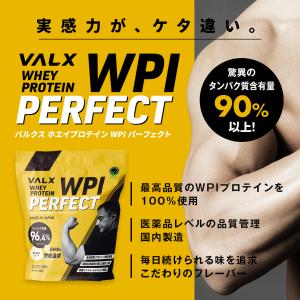 VALX プロテイン WPIパーフェクト 【6...の詳細画像2