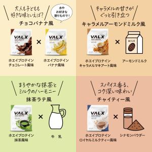 VALX (バルクス) ホエイプロテイン WP...の詳細画像5