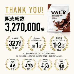 VALX (バルクス) ホエイプロテイン WP...の詳細画像4