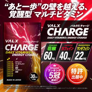 VALX CHARGE (バルクス チャージ)...の詳細画像1