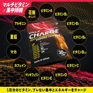 VALX CHARGE (バルクス チャージ)...の詳細画像3