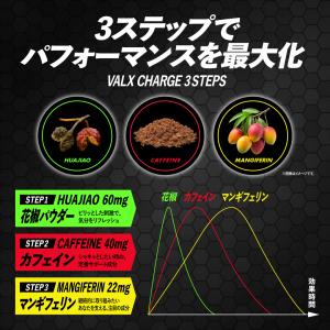 VALX CHARGE (バルクス チャージ)...の詳細画像4