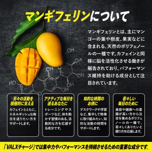 VALX CHARGE (バルクス チャージ)...の詳細画像5