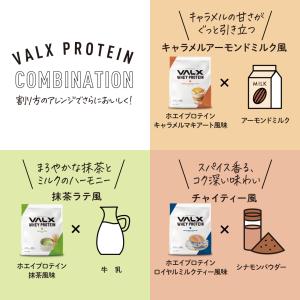 VALX (バルクス) ホエイプロテイン WP...の詳細画像3