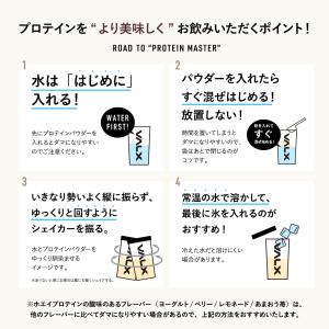 VALX (バルクス) ホエイプロテイン WP...の詳細画像5