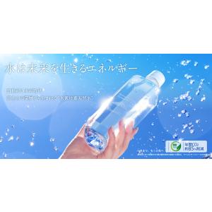 水素珪素天然水 VanaH 1.9L×12本入...の詳細画像2