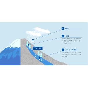 水素珪素天然水 VanaH 1.9L×12本入...の詳細画像4