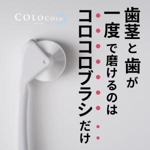 歯ブラシ 公式 コロコロブラシ 2本 歯科医推...の詳細画像2