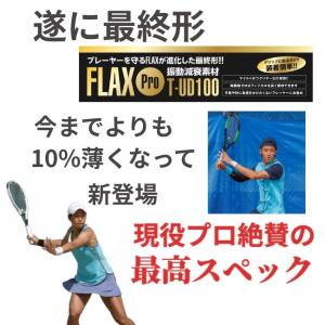 プロも絶賛 FLAX Pro 2個 テニス 振...の詳細画像1