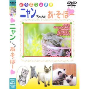 新古品) / ニャンちゃんとあそぼー (DVD)の商品画像