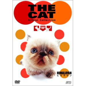 新古品)  ／ THE CAT〜ヒマラヤン (DVD)｜vanda