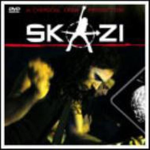 新古品) SKAZI ／ SKAZI-HIT&amp;RUN WORLD TOUR- (DVD)