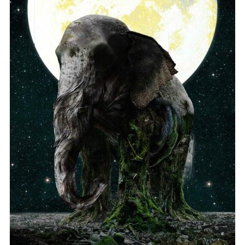 新古品) MISIA ／ ASCENSION (CD)