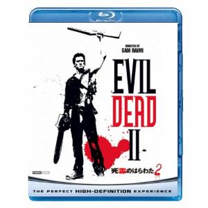 整動鍼/HOW TO[DVD]【返品種別A】 : Joshin web CDDVD Yahoo!店 - 通販