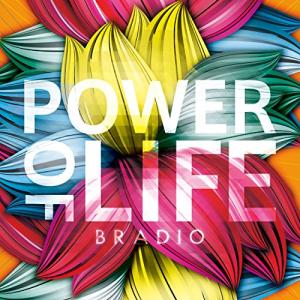 新古品) BRADIO ／ POWER OF LIFE (CD)