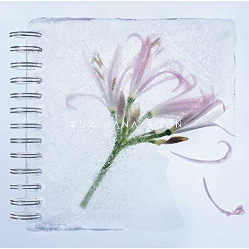 新古品) KANA-BOON ／ ネリネ(初回生産限定盤)(DVD付) (CD)