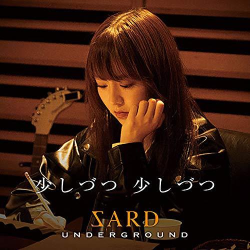 新古品) SARD UNDERGROUND ／ 少しづつ 少しづつ(初回限定盤)(DVD付) (CD...