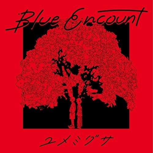新古品) BLUE ENCOUNT ／ ユメミグサ(初回生産限定盤)(DVD付) (CD)