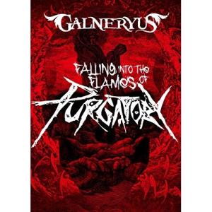 新古品) GALNERYUS ／ FALLING INTO THE FLAMES OF PURGATORY(通常版.. (DVD)の商品画像