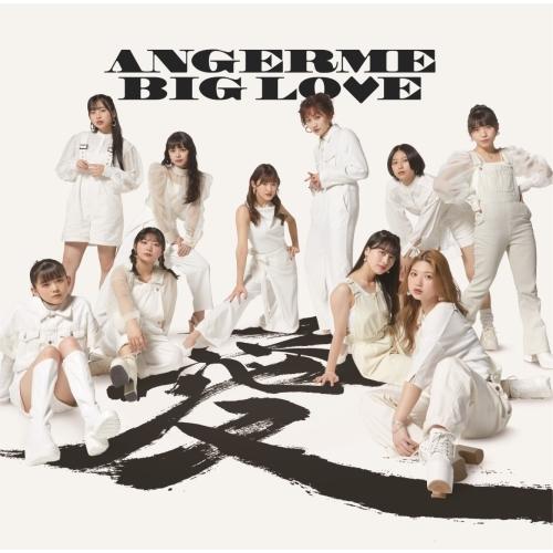 新古品) アンジュルム ／ BIG LOVE(通常盤) (CD)