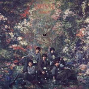 vanda_adi-avcd-61683