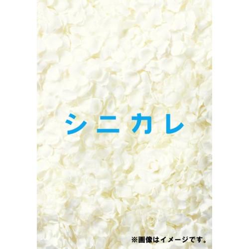 シニカレ完全版 ブルーレイBOX(Blu-ray Disc) ／ 藤ヶ谷太輔/桐谷美玲 (Blu-r...