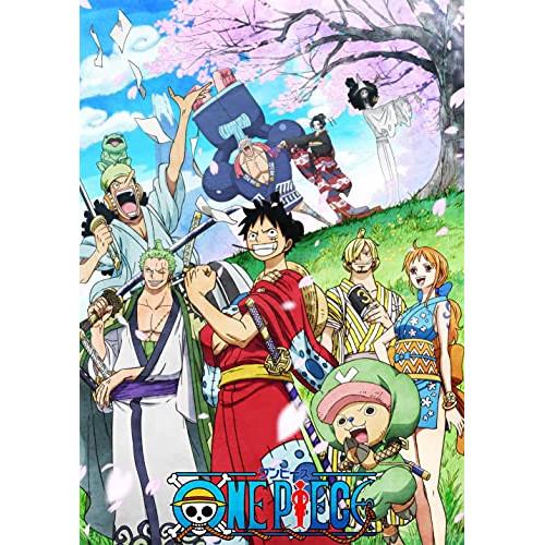 ONE PIECE ワンピース 20THシーズン ワノ国編 PIECE.19 ／ ワンピース (DV...