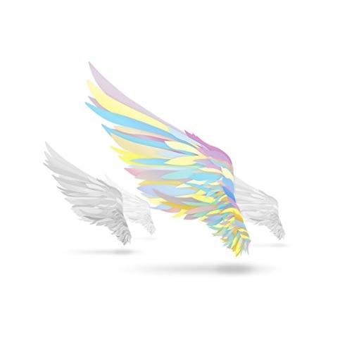 翼を持つ者 〜Not an angel Just a dreamer〜(DVD付.. ／ オムニバス...