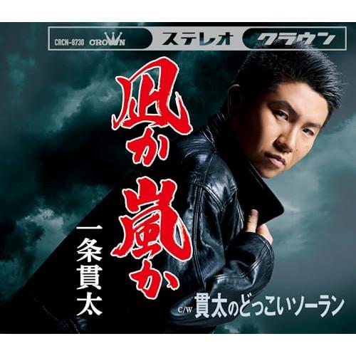 凪か 嵐か/貫太のどっこいソーラン ／ 一条貫太 (CD)