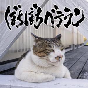 ぼちぼちベテラン ／ 打首獄門同好会 (CD)