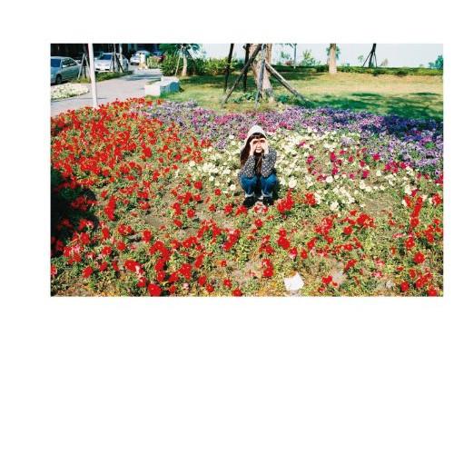 光のなかに立っていてね ／ 銀杏BOYZ (CD)