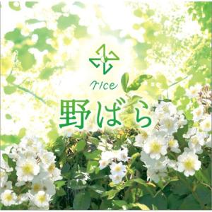 rice  野ばら  12cmCD Single