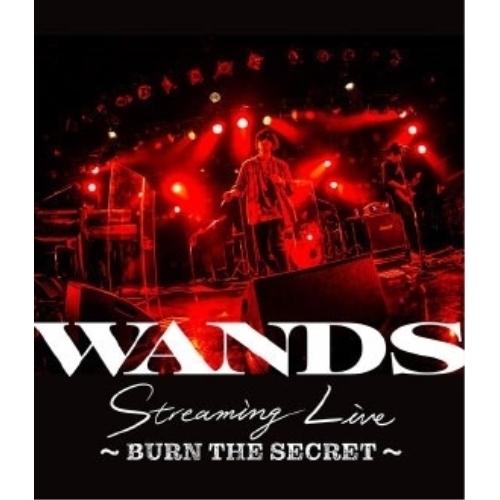 WANDS Streaming Live 〜BURN THE SECRET〜(B.. ／ WANDS...