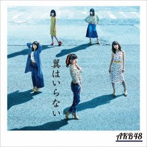 翼はいらない(Type B)(通常盤)(DVD付) ／ AKB48 (CD)