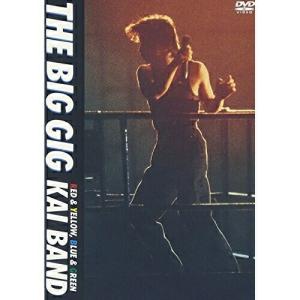 USED品/中古品) SIAM SHADE DVD ?FINAL ROAD LAST SANCTUARY? LIVE