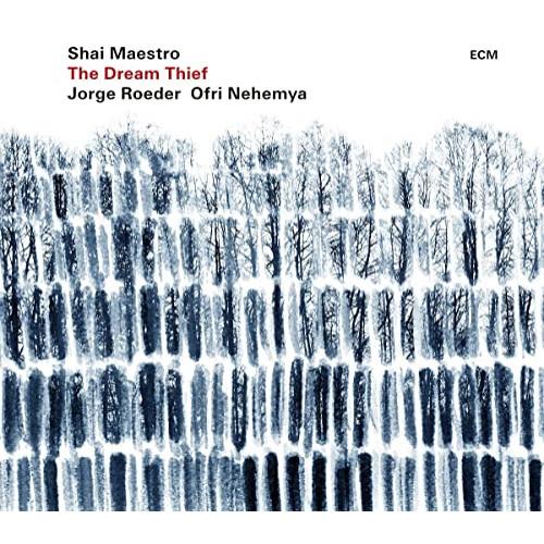 ザ・ドリーム・シーフ ／ シャイ・マエストロ (CD)