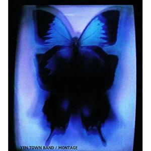 予約特典のクリアファイル無し】 tuki. 15 ［CD+ぬいぐるみ+Book