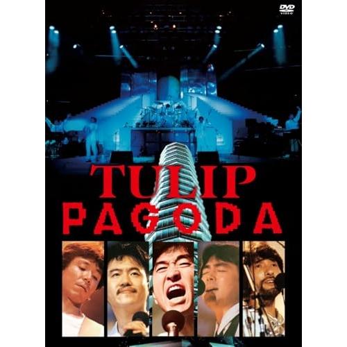 PAGODA〜TULIP LAND IN ASHINOKO 1984.8.11 ／ チューリップ (...