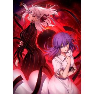 劇場版 Fate/stay night Heaven's Feel 全3巻セット/DVD 中古 レンタル