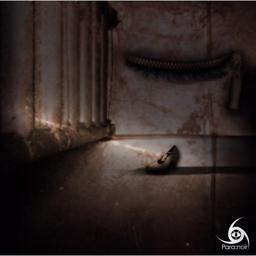 Amaryllis/Cosmos[TYPE B] ／ Para:noir (CD)