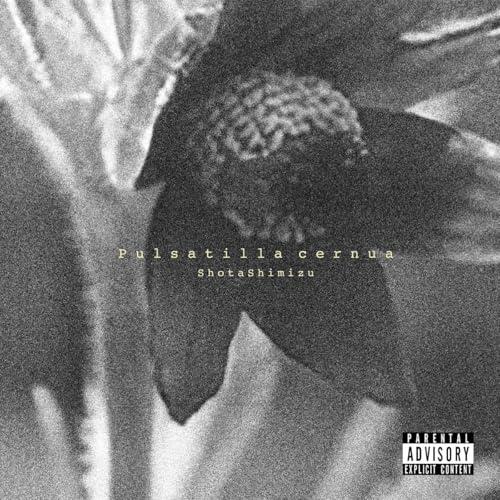 Pulsatilla cernua(通常盤) ／ 清水翔太 (CD)