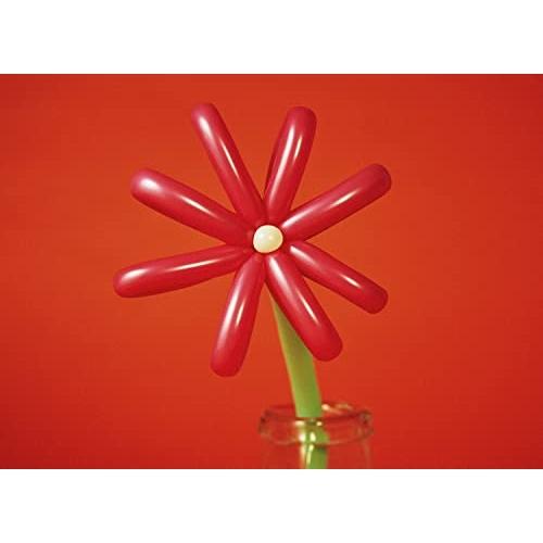 MACAROCK’N LIVE-1(初回生産限定盤) ／ マカロニえんぴつ (DVD)