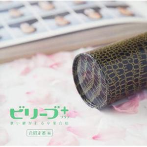 ビリーブ+(プラス)合唱定番編 ／ (CD)